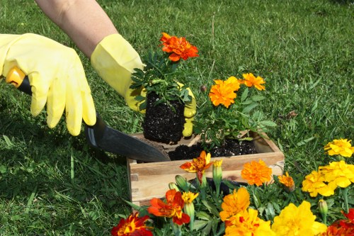Garden clearance and overgrown areas image