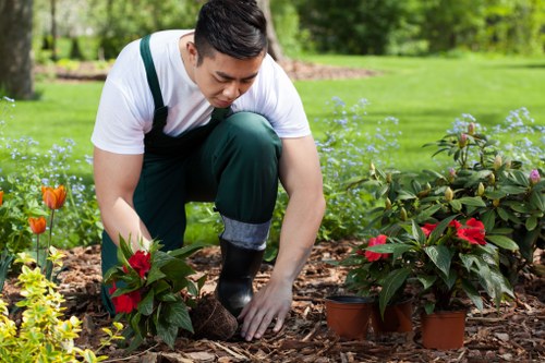 Seasonal garden maintenance in Docklands