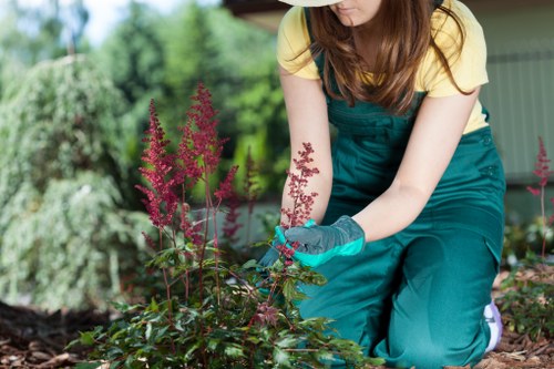 Professional gardener working in a Docklands garden